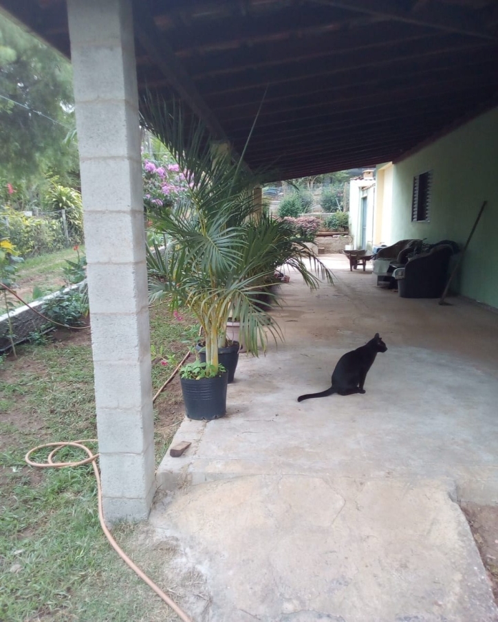 Chácara à venda com 3 quartos, 245m² - Foto 5