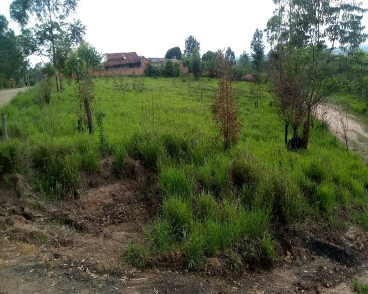 Terreno à venda - Foto 3