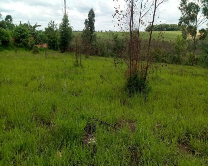 Terreno à venda - Foto 4