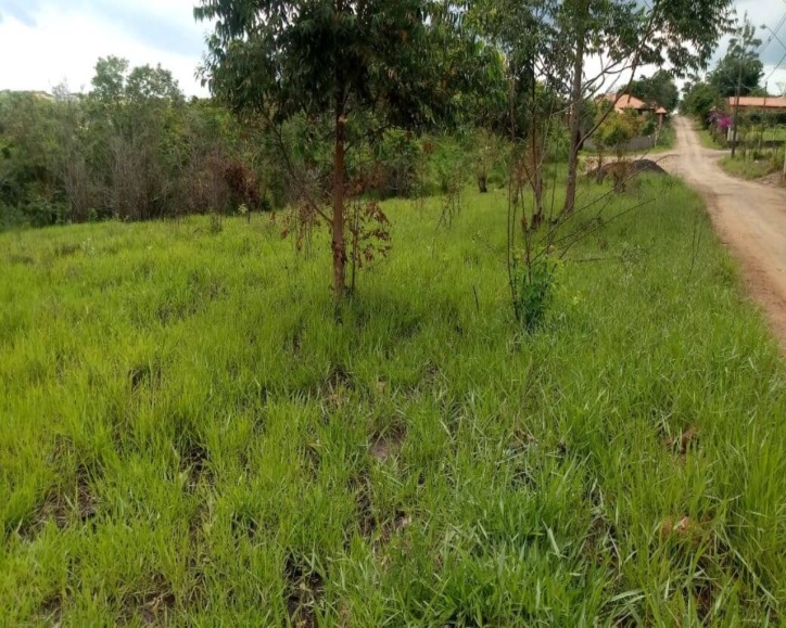 Terreno à venda - Foto 6