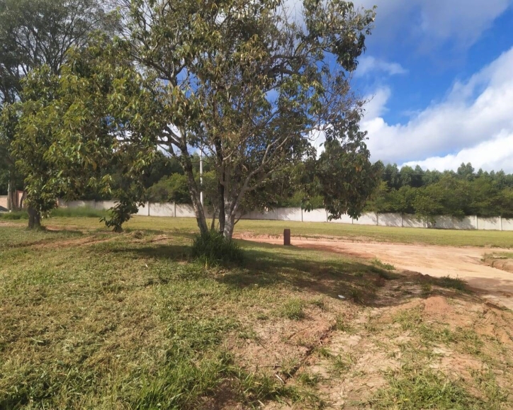 Terreno à venda - Foto 2